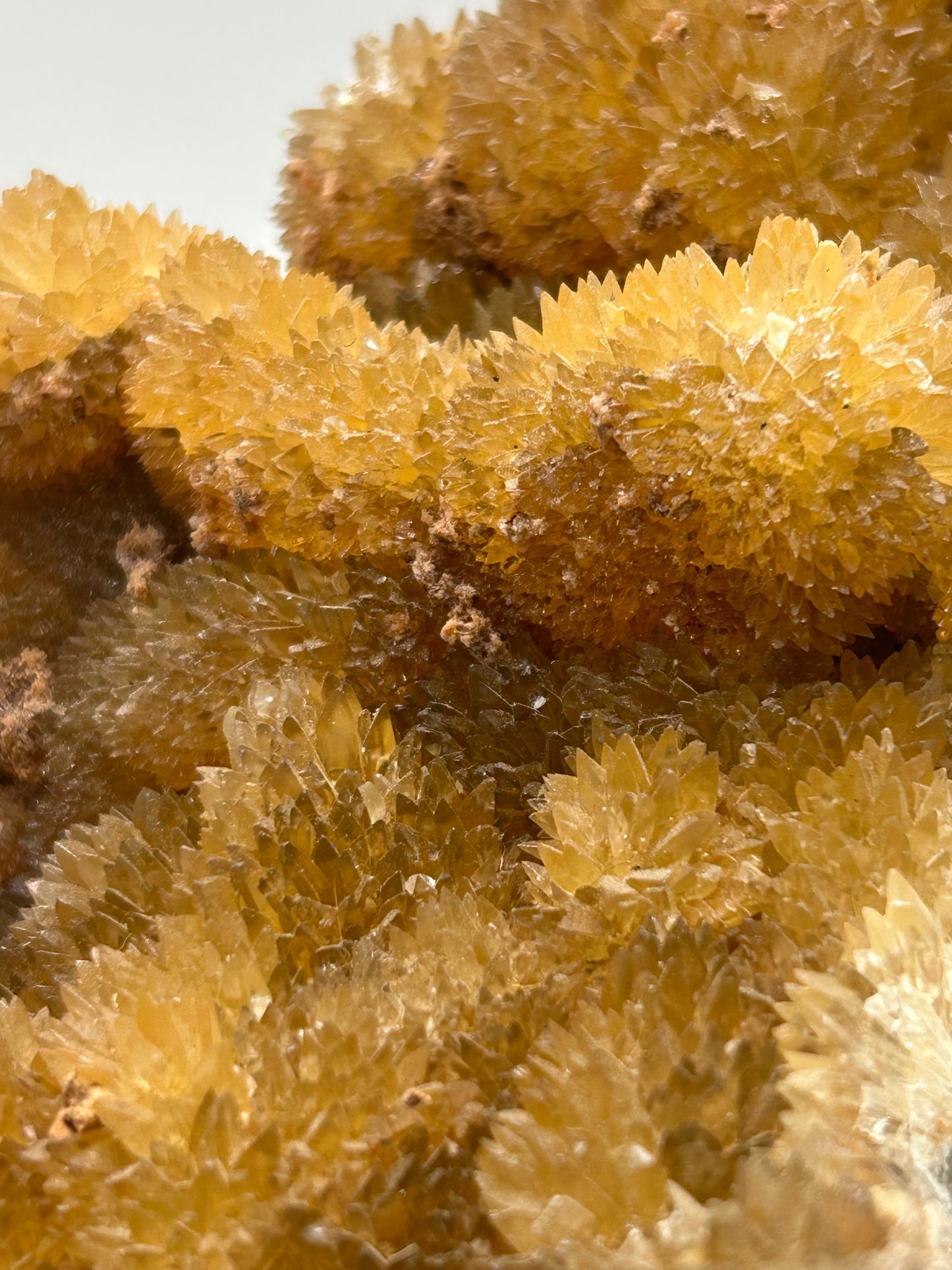 Calcite gialla botroidale su matrice