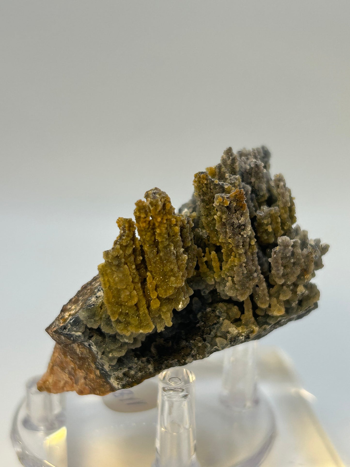 Magnesite e goethite stalattitica