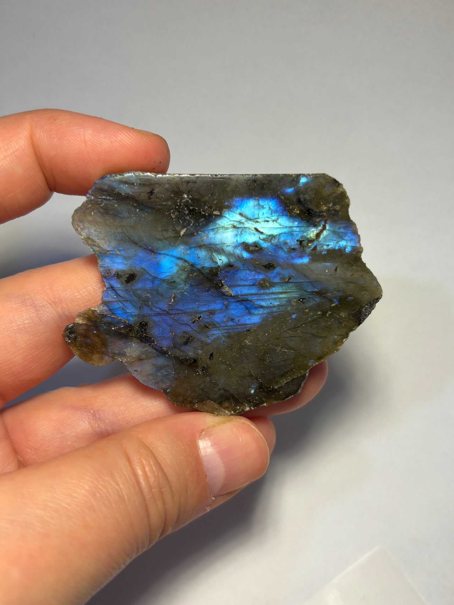 Fetta in labradorite lucidata
