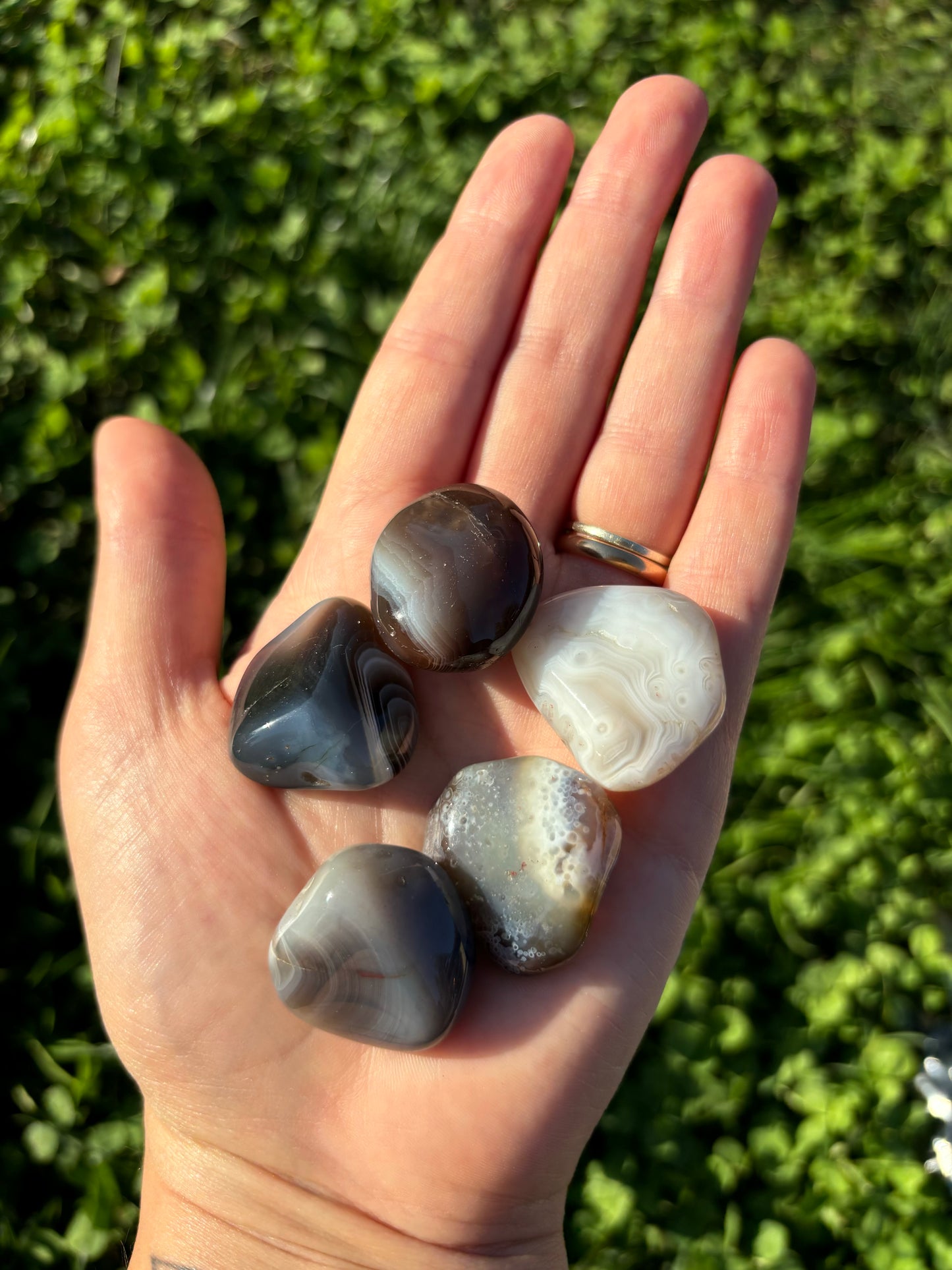 Agata del botswana burattata