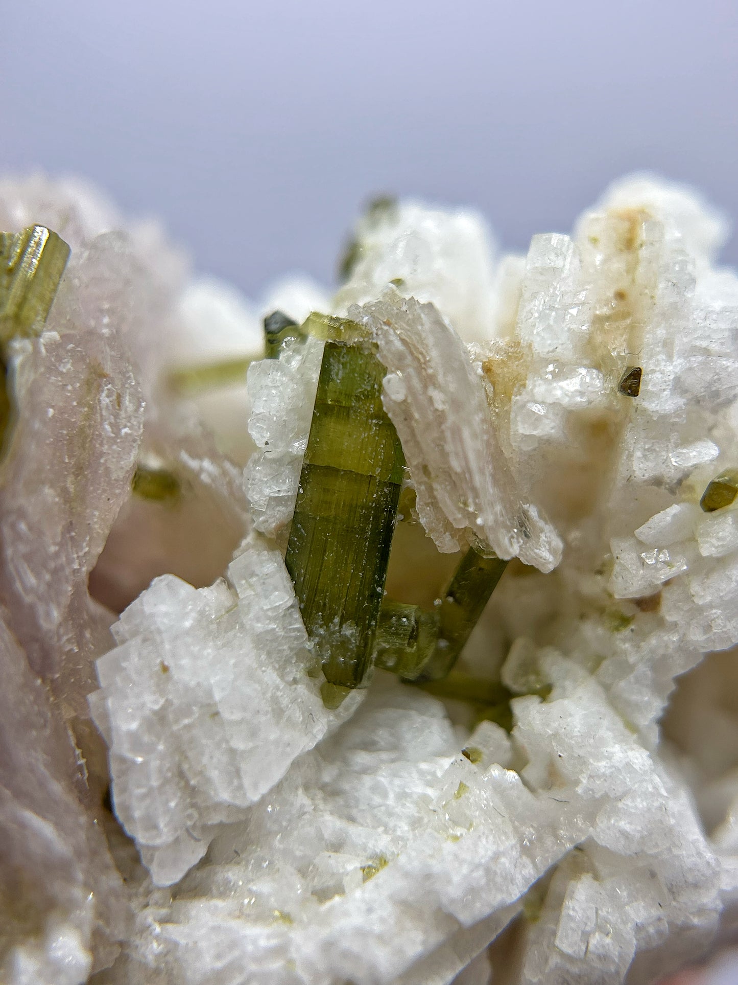Tormaline verdi