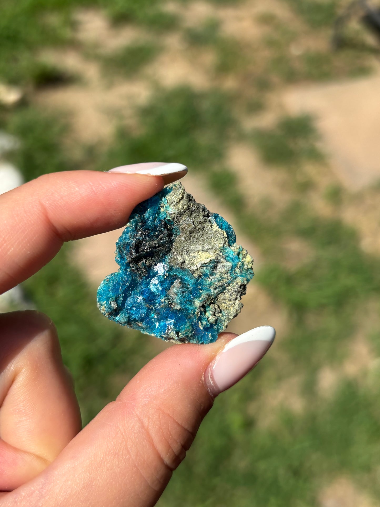 Calcantite