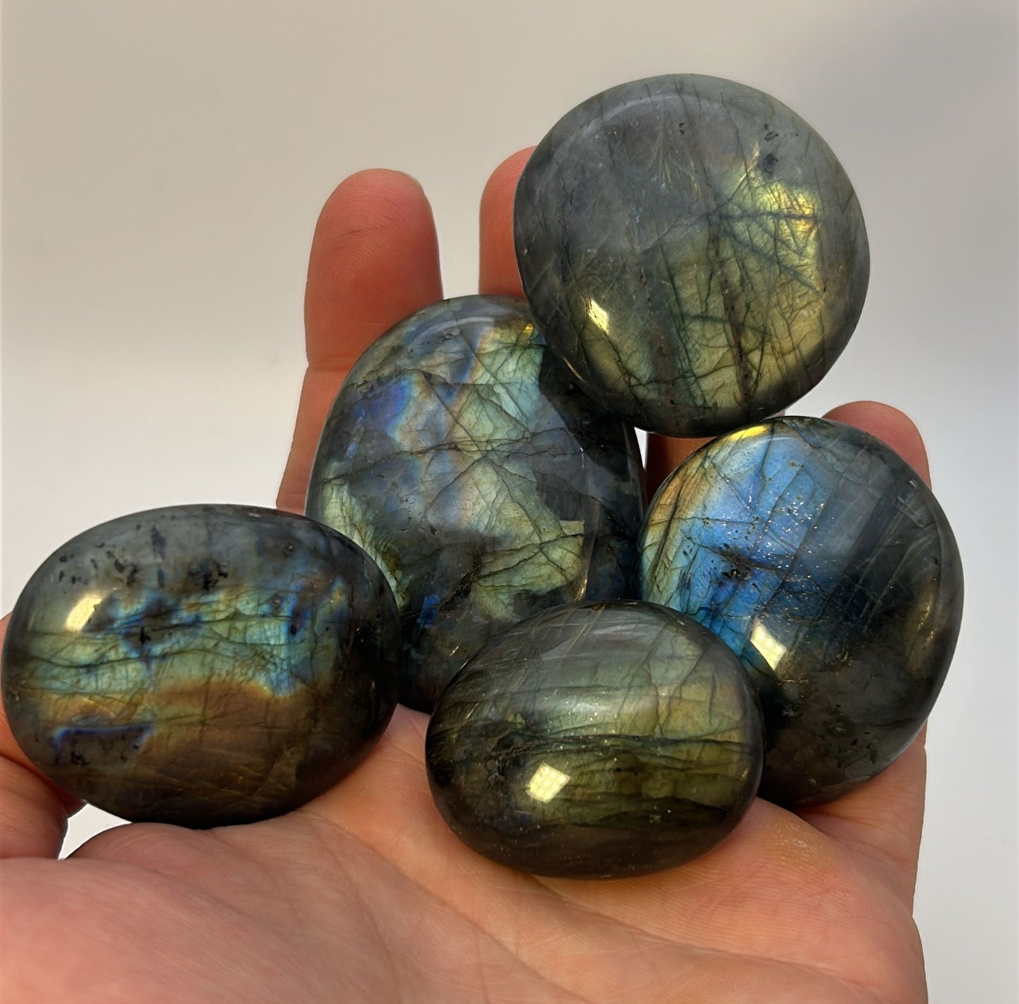 Palmstone in labradorite
