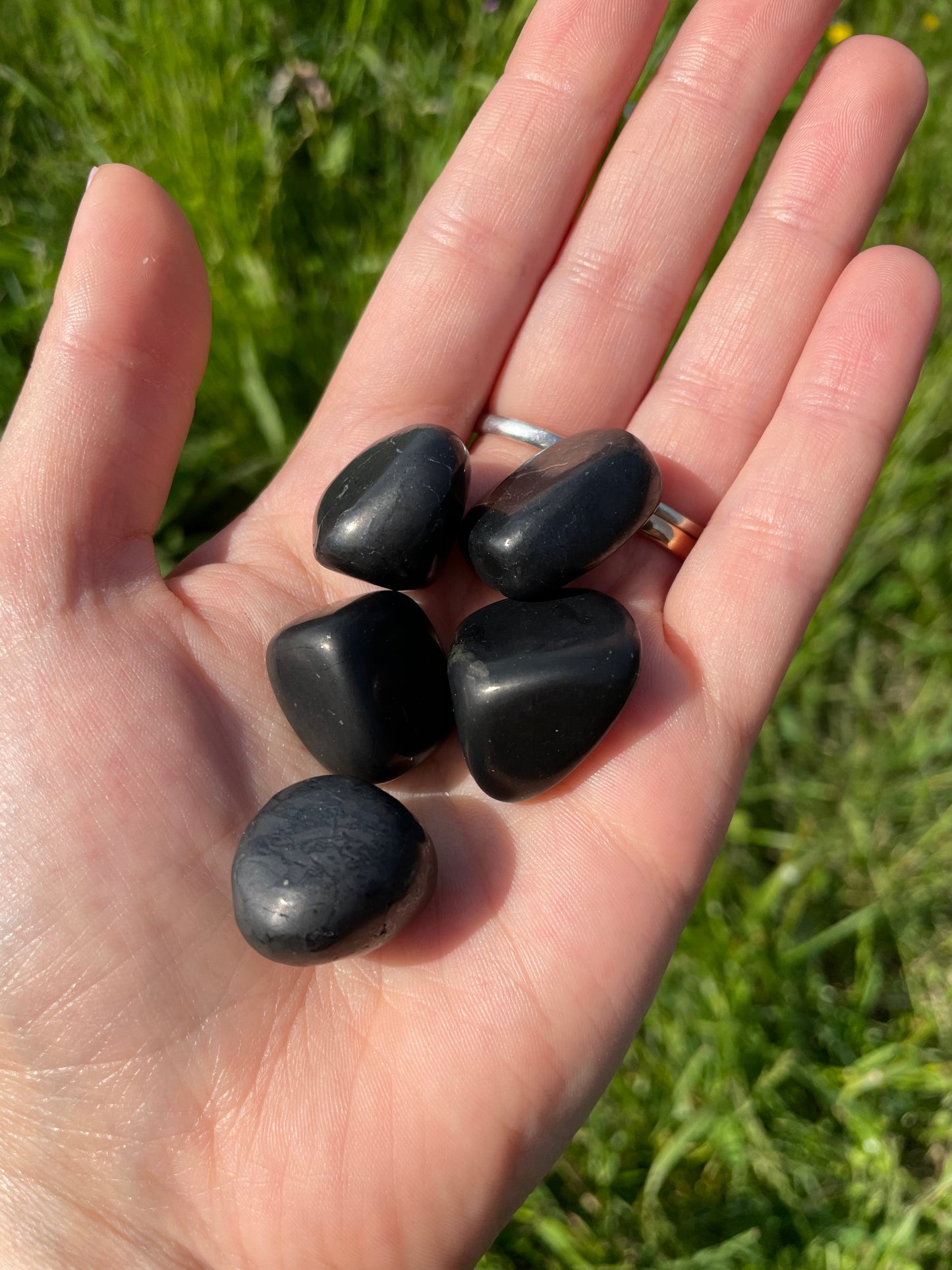 Shungite burattata