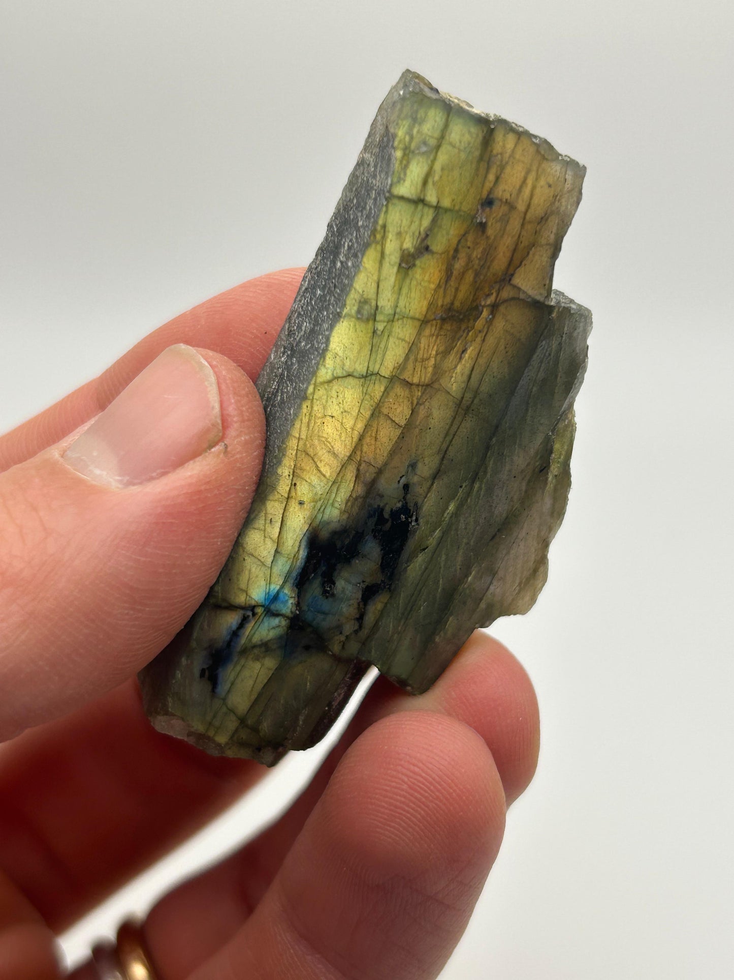 Fetta in labradorite lucidata