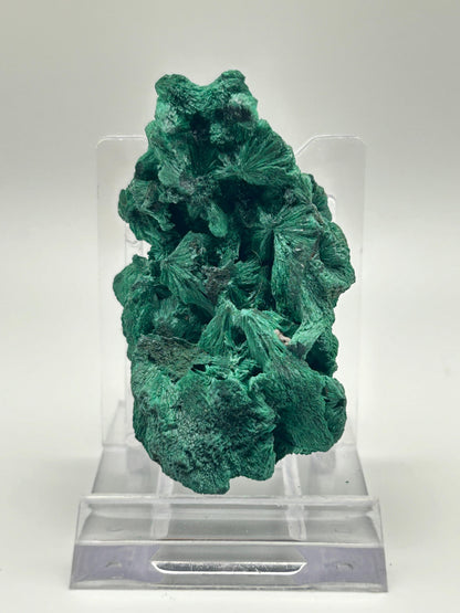 Malachite velvet