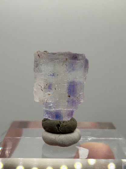 Halite siciliana