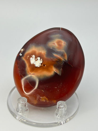 Palmstone in corniola