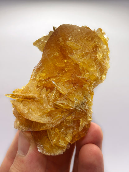 Selenite gialla