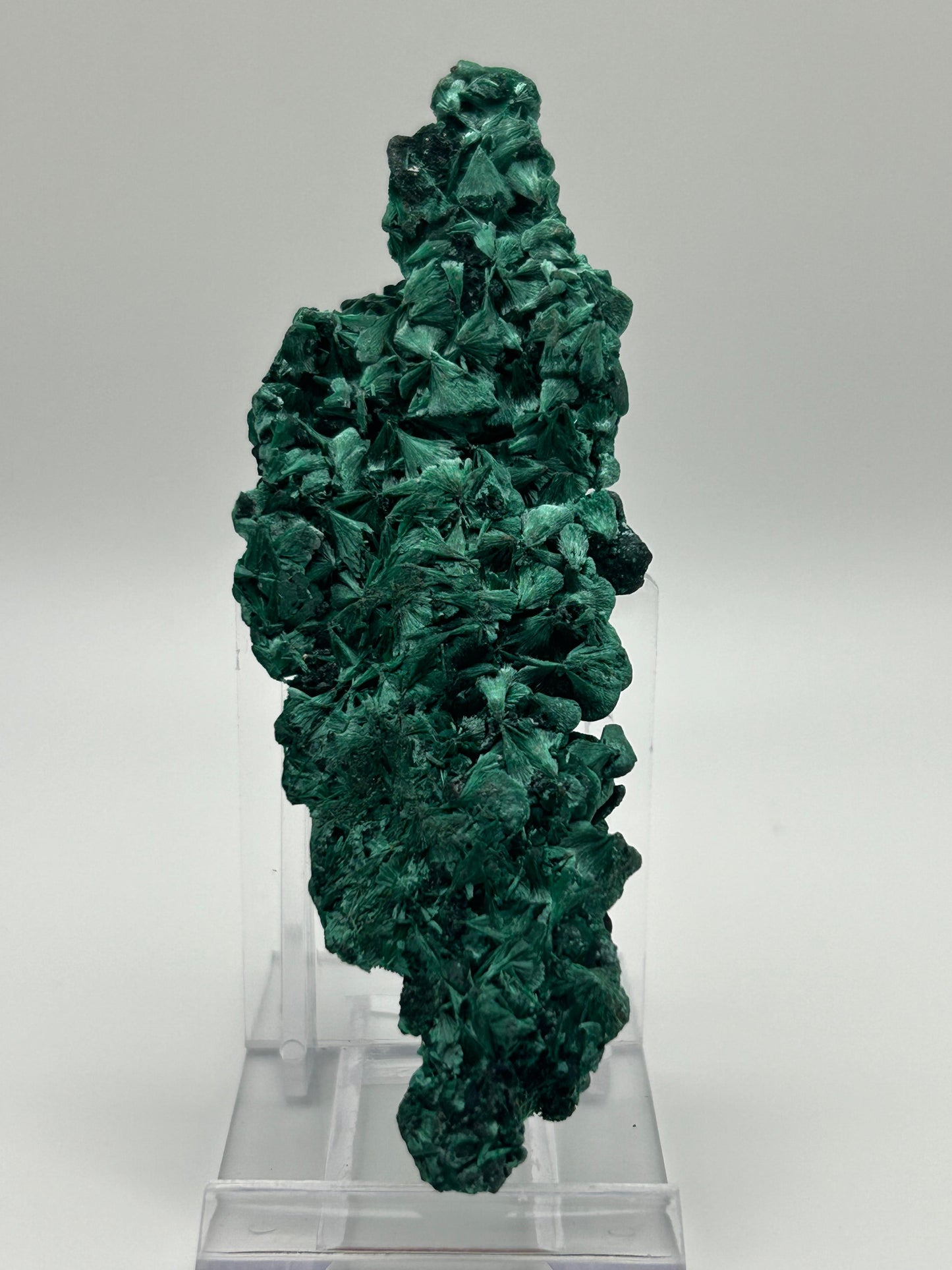 Malachite velvet