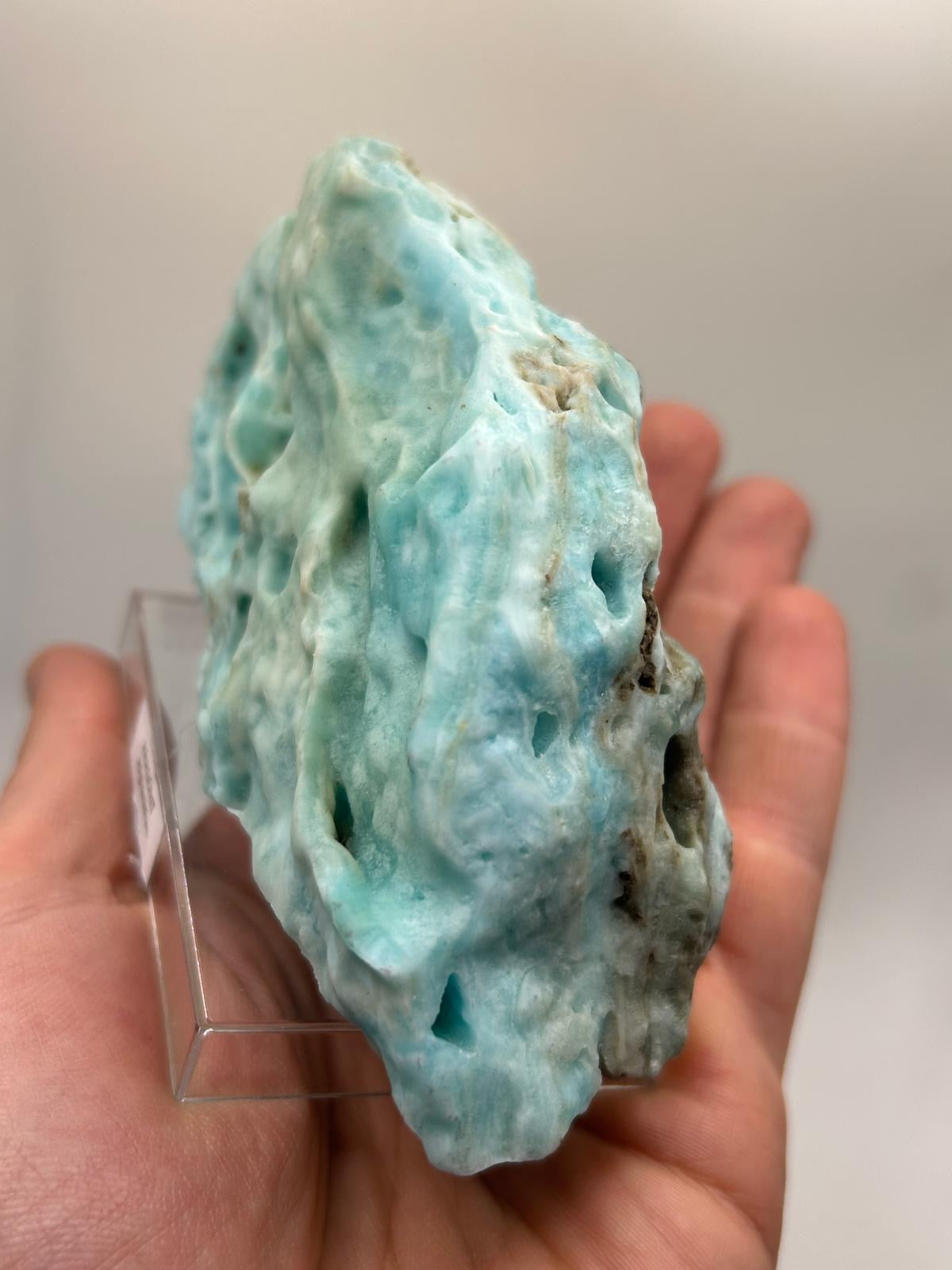 Fetta aragonite su piedistallo