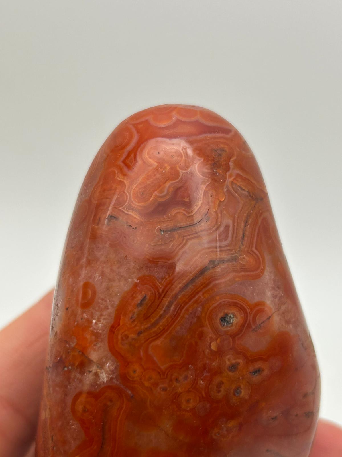 Freeform in corniola