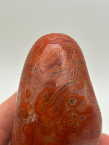 Freeform in corniola