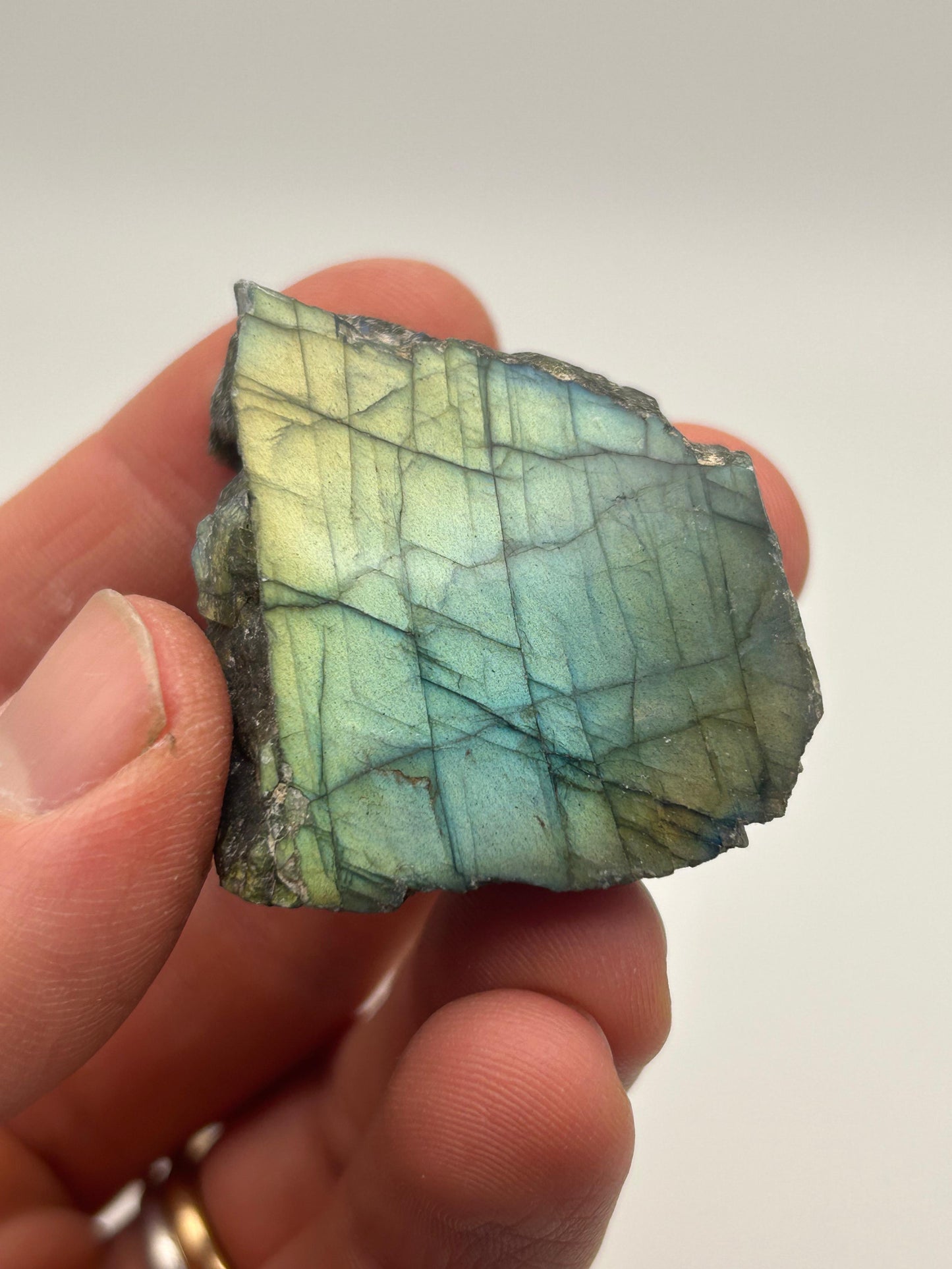 Fetta in labradorite lucidata