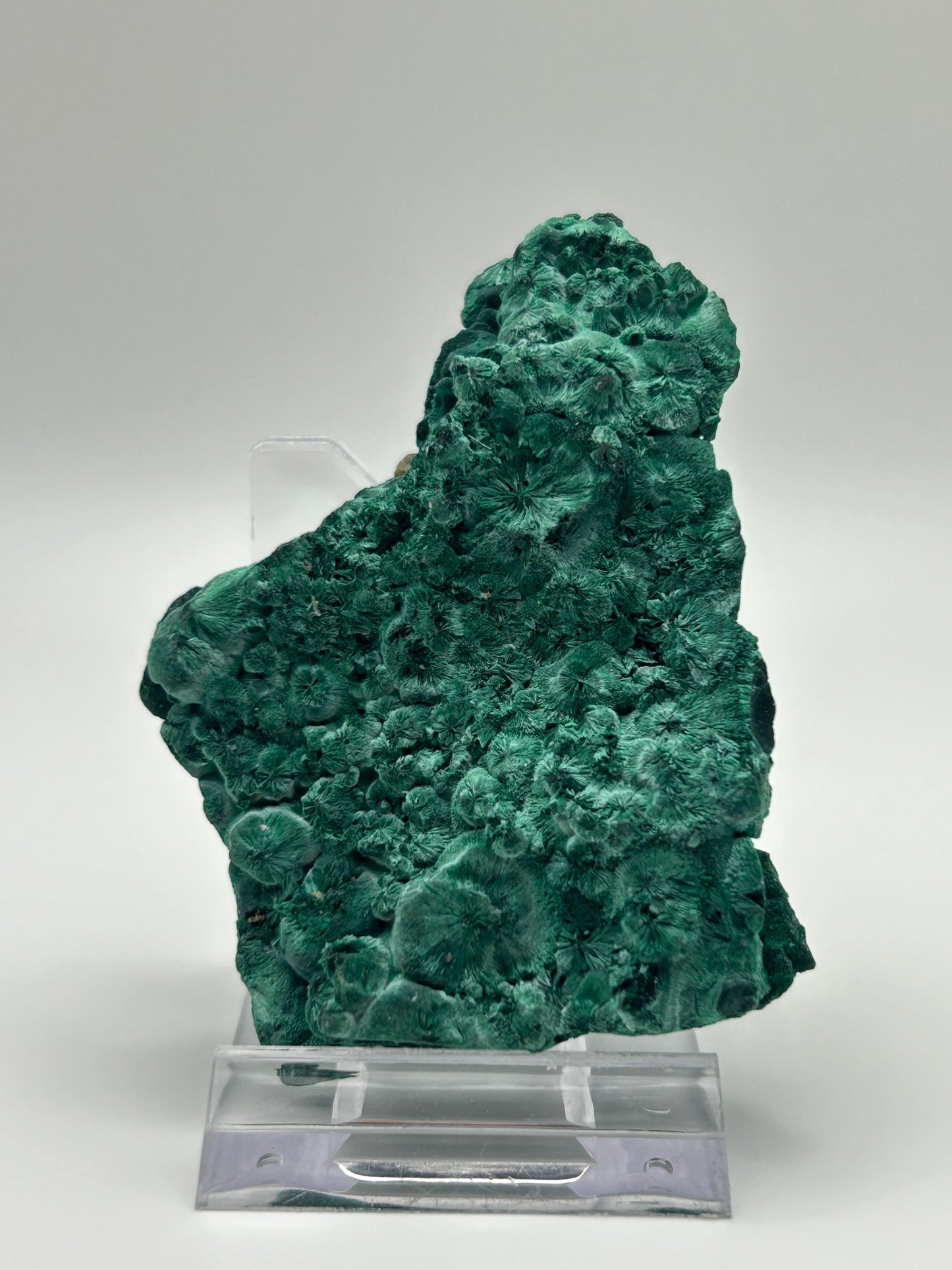 Malachite velvet
