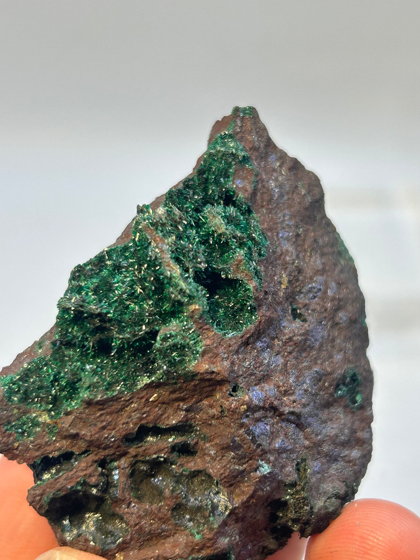 Brocantite su bornite