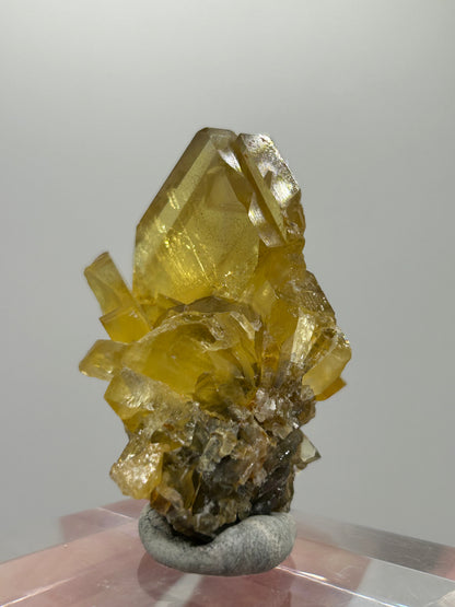 Barite gialla
