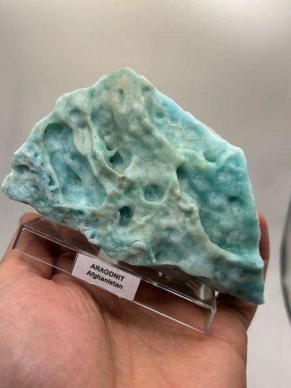 Fetta aragonite su piedistallo