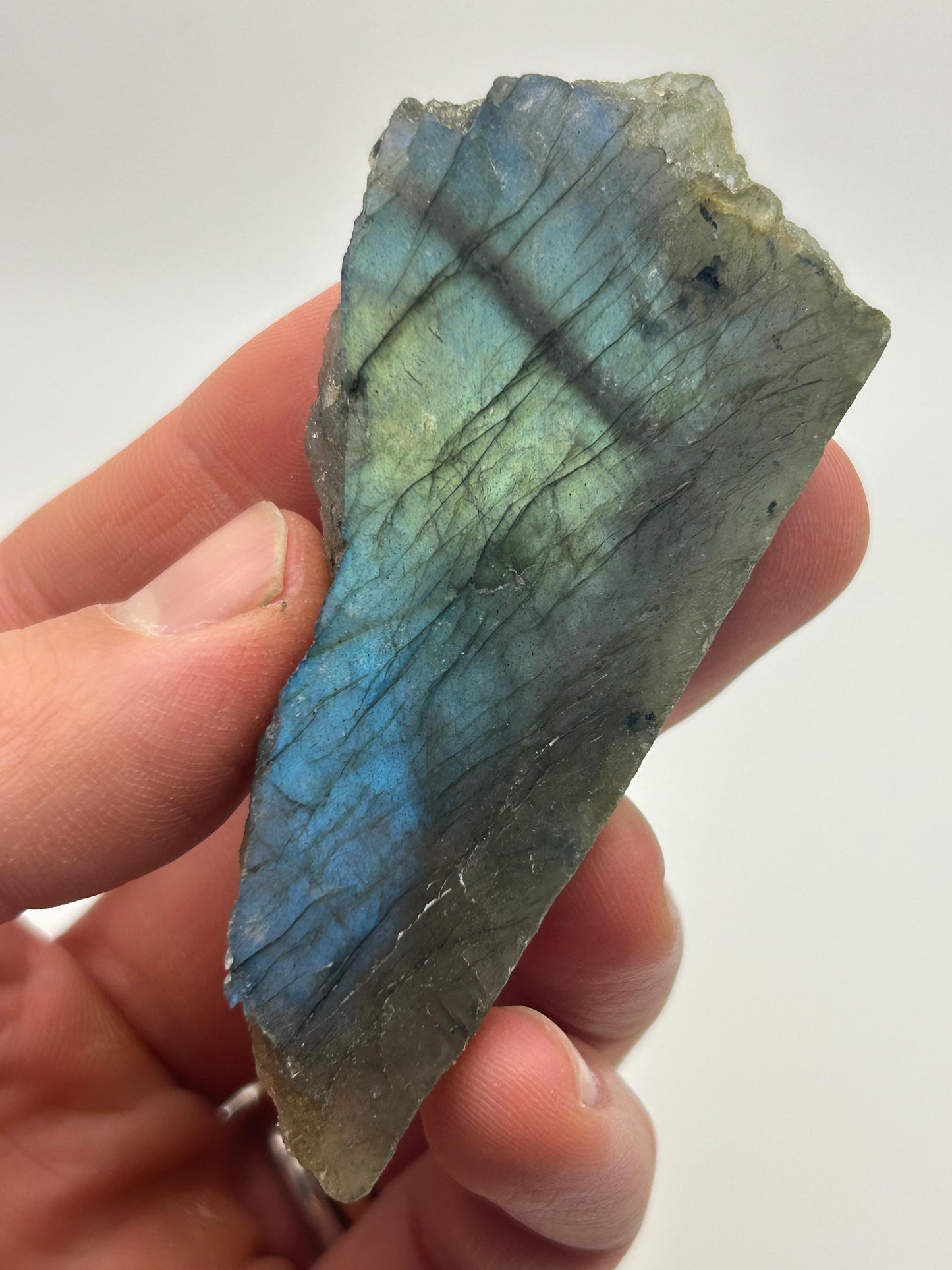 Fetta in labradorite lucidata