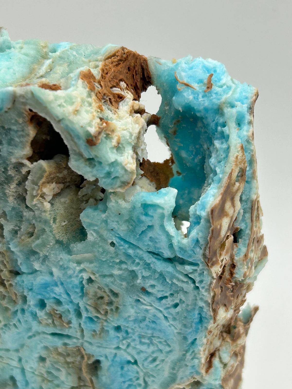Fetta aragonite su piedistallo