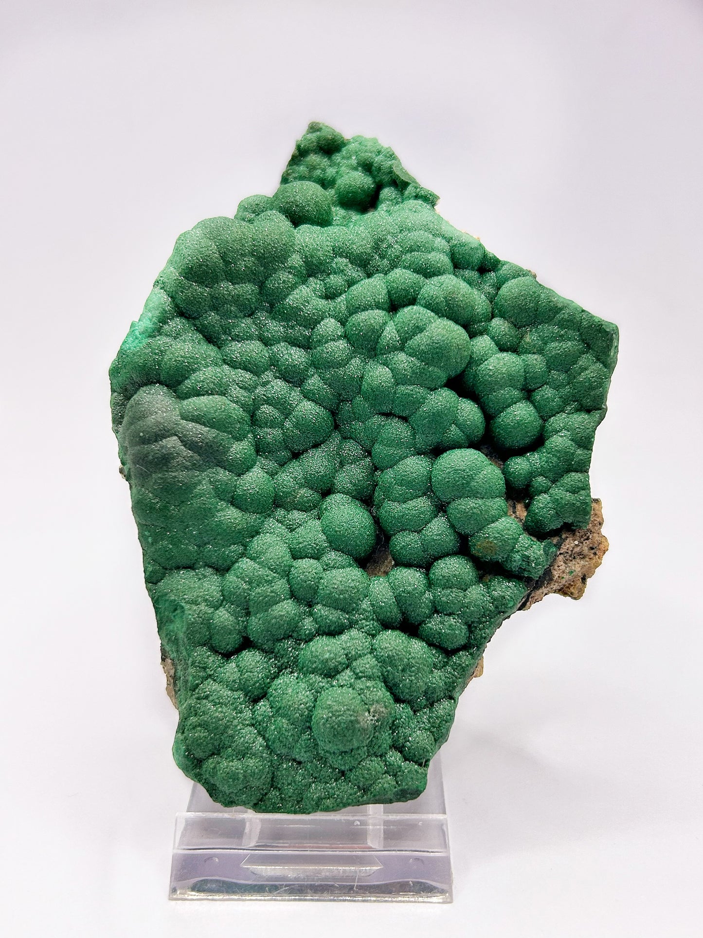 Malachite botroidale brillantinata