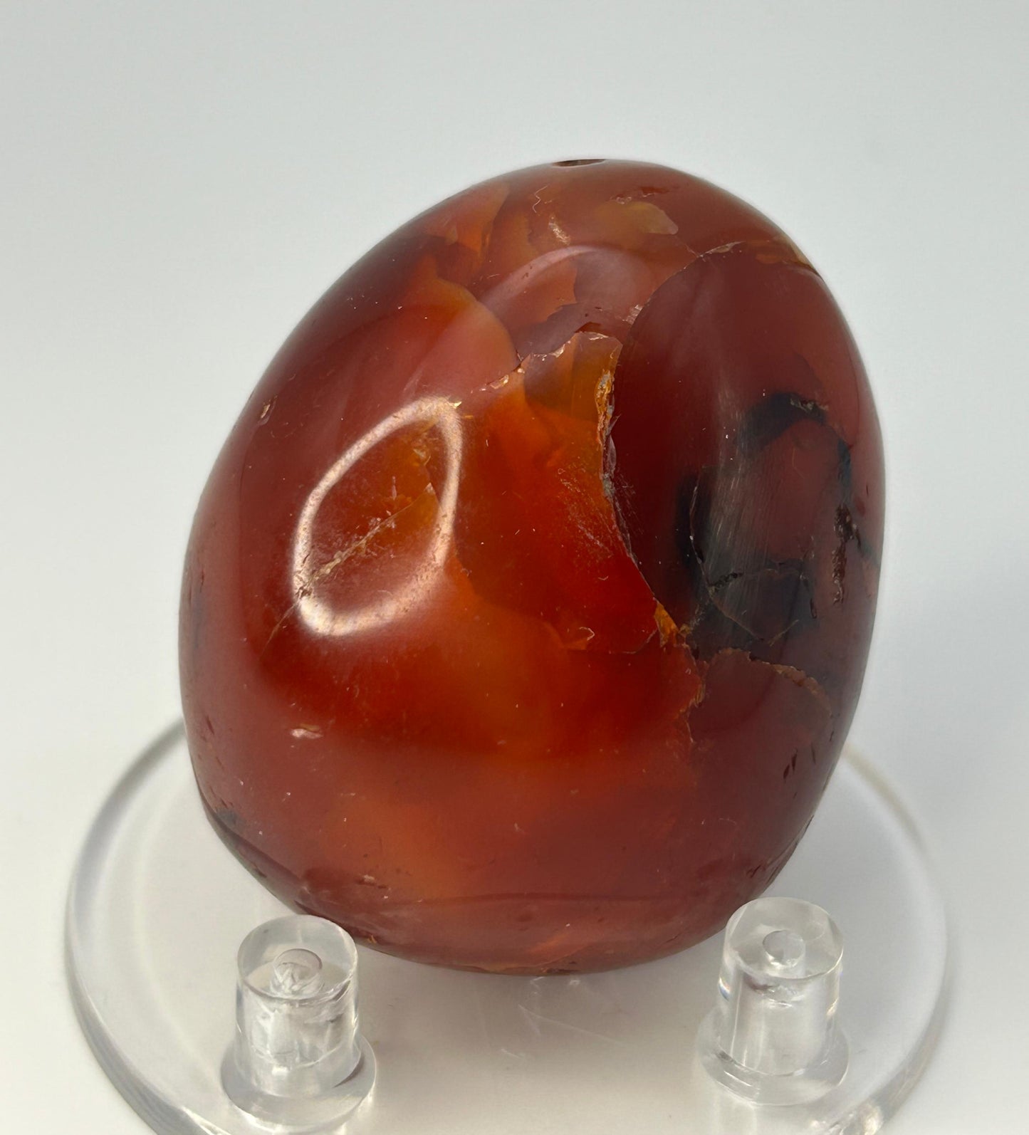 Palmstone in corniola