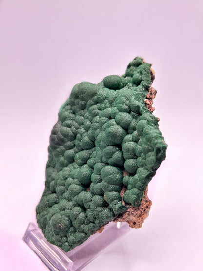 Malachite botroidale brillantinata