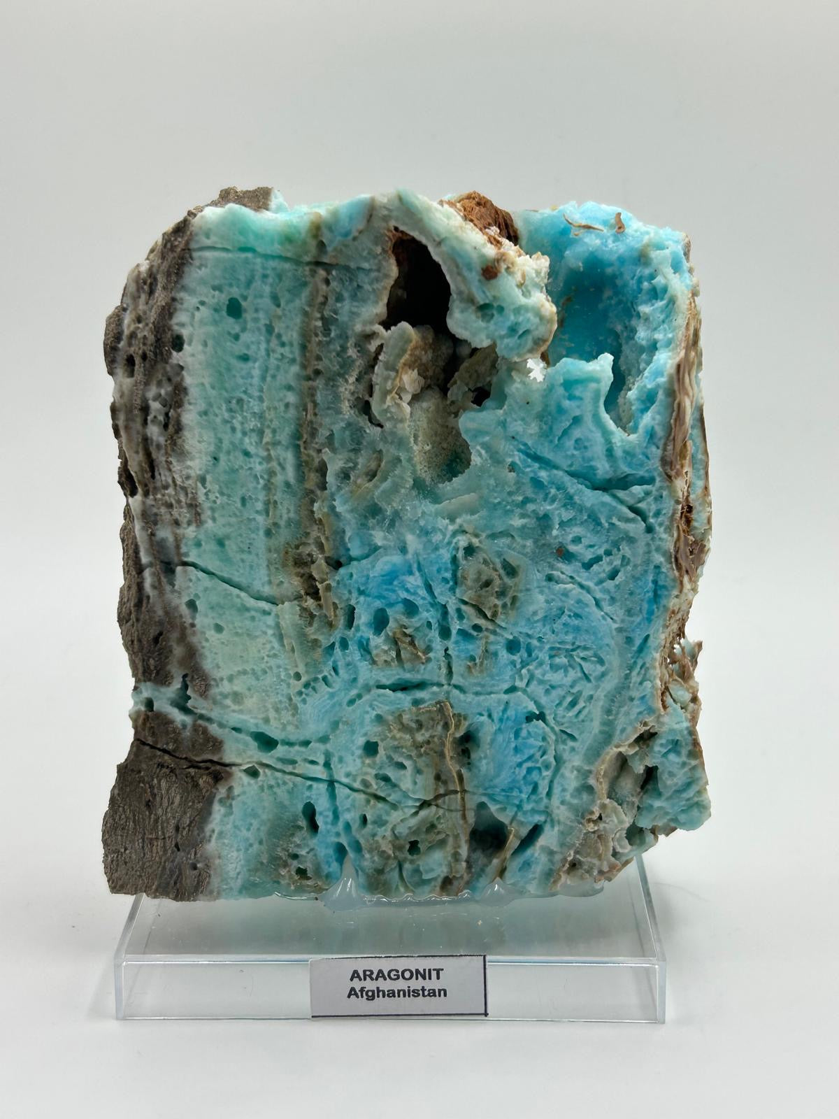 Fetta aragonite su piedistallo