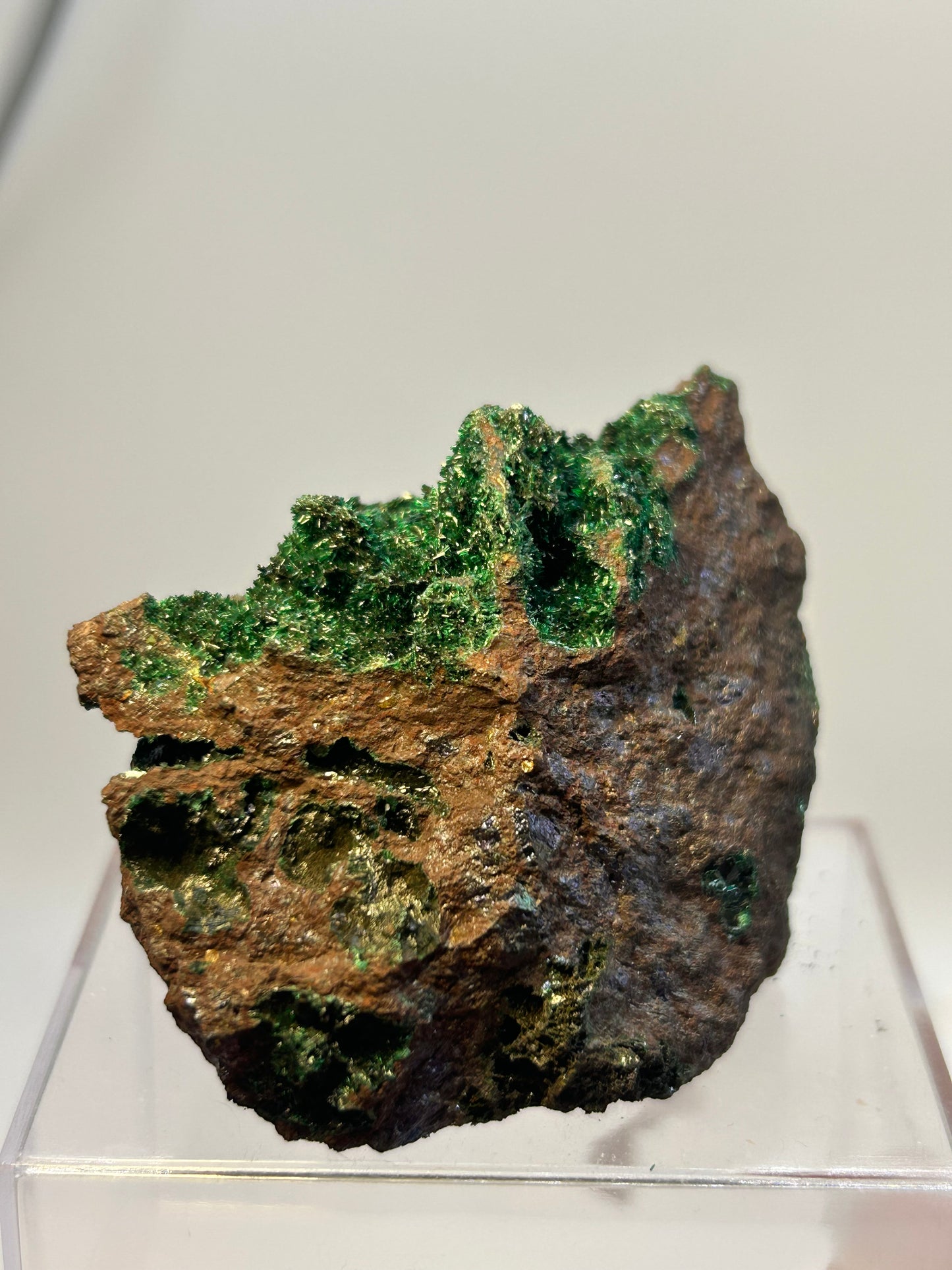 Brocantite su bornite