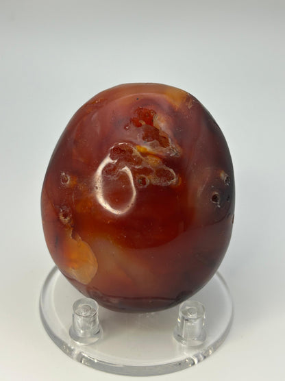 Palmstone in corniola