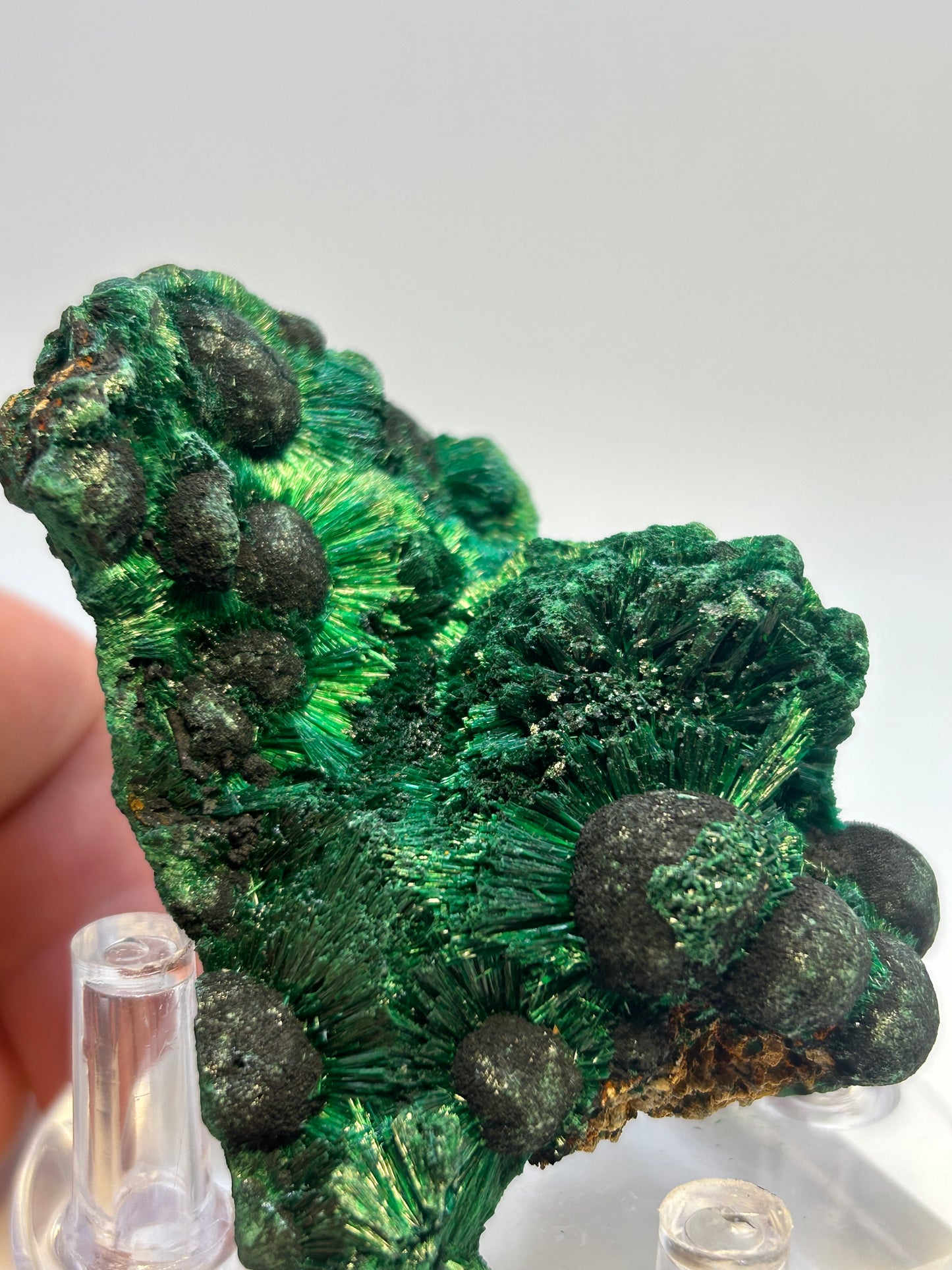 Malachite velvet qualità super