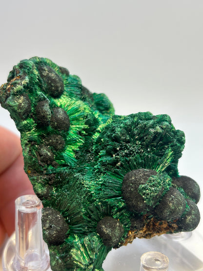 Malachite velvet qualità super