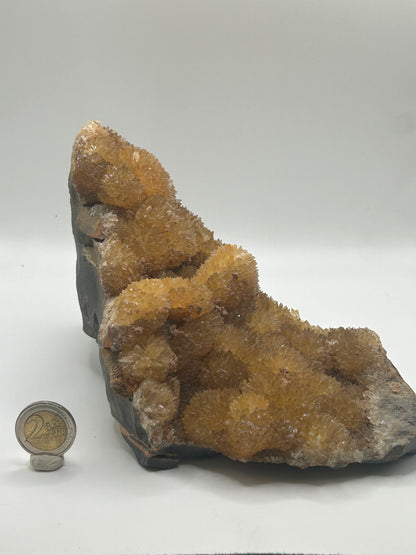 Calcite gialla botroidale su matrice