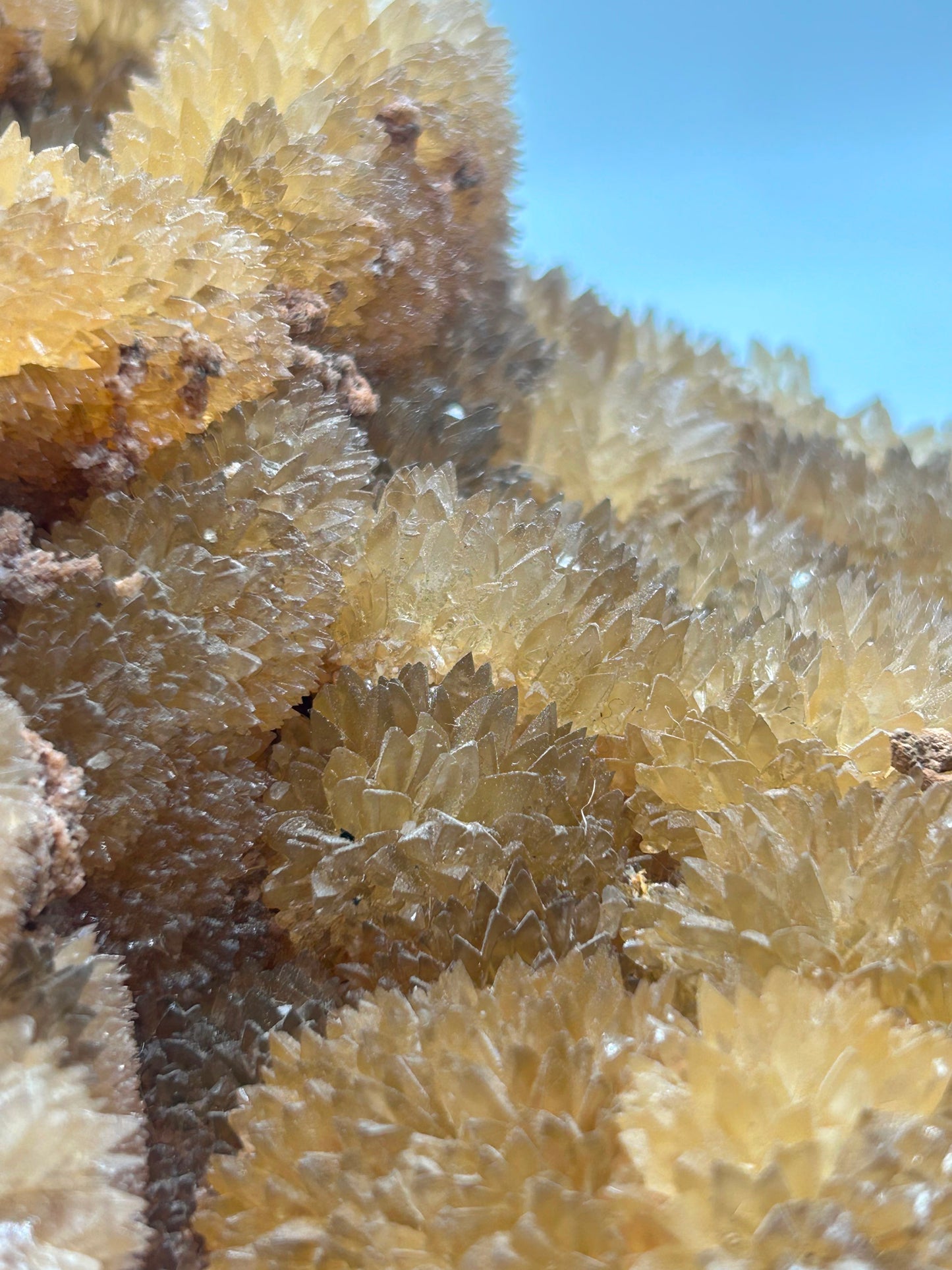 Calcite gialla botroidale su matrice
