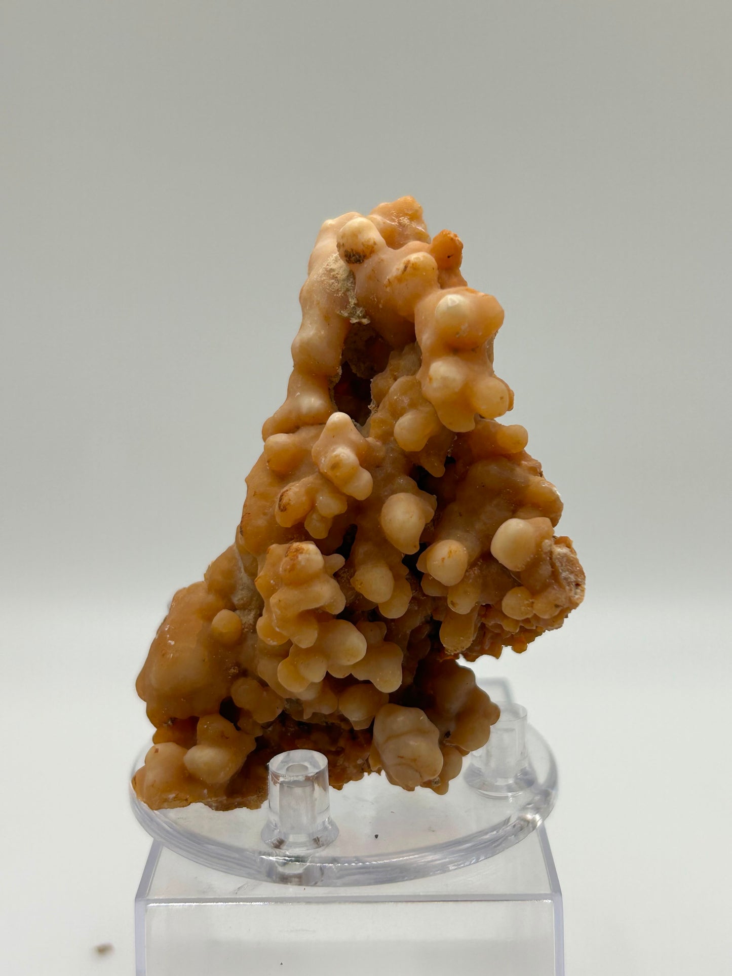 Aragonite arancione