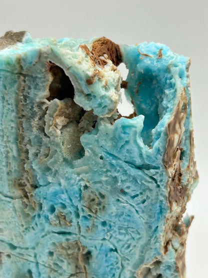 Fetta aragonite su piedistallo