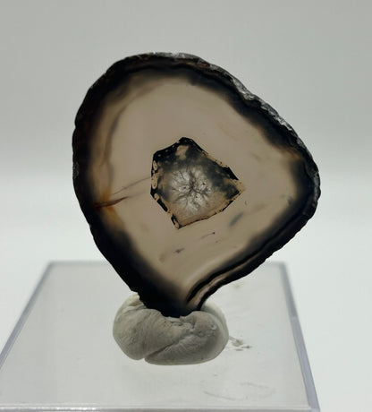 Fetta di agata lucidata