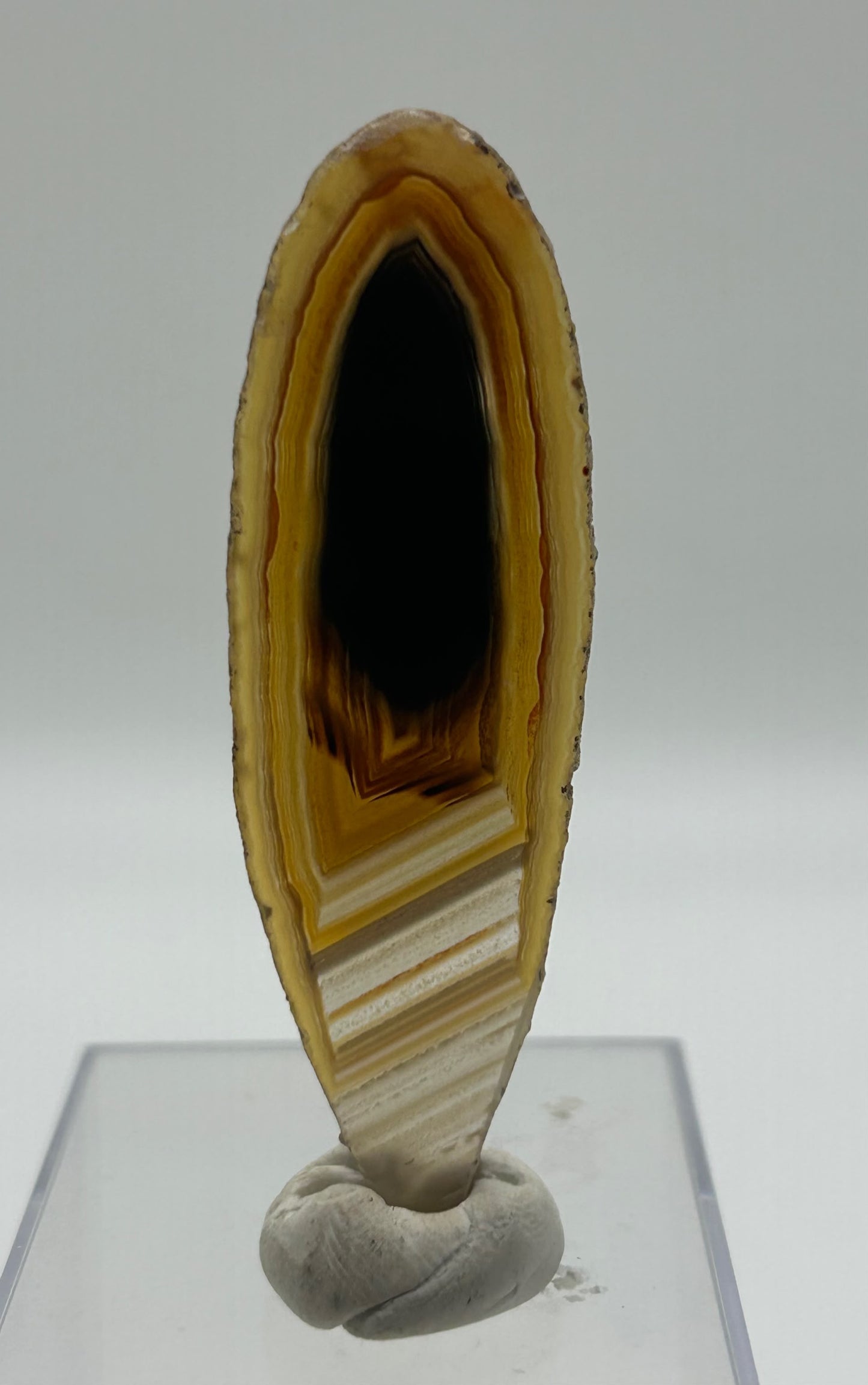 Fetta di agata lucidata