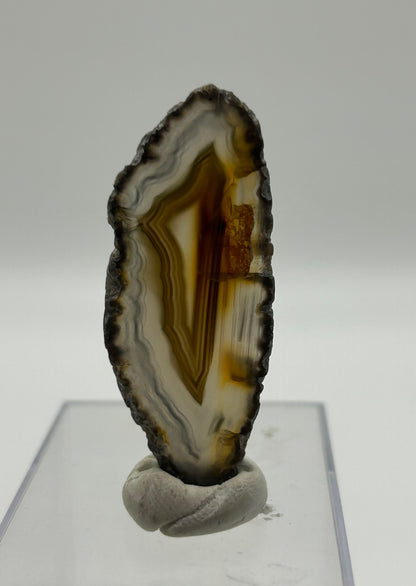 Fetta di agata lucidata
