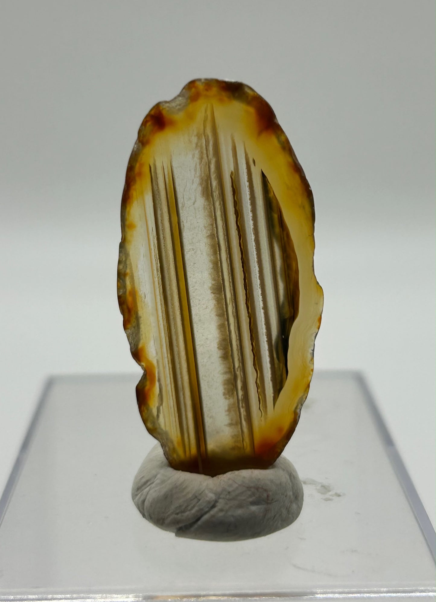 Fetta di agata lucidata