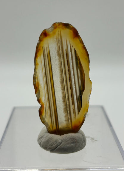 Fetta di agata lucidata