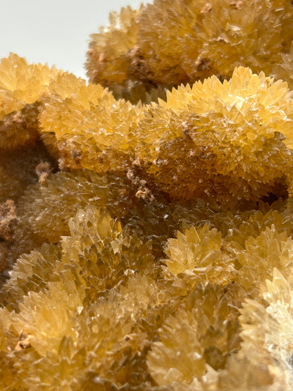 Calcite gialla botroidale su matrice