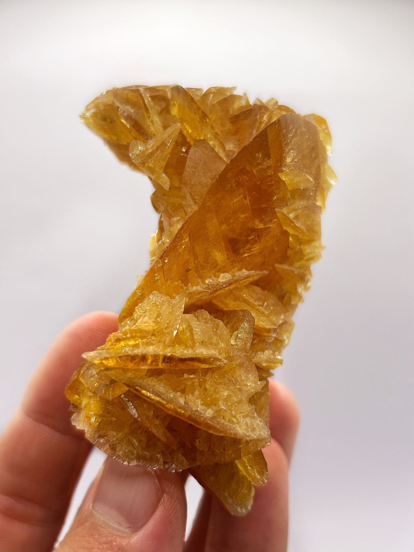 Selenite gialla