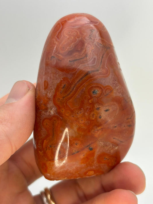 Freeform in corniola