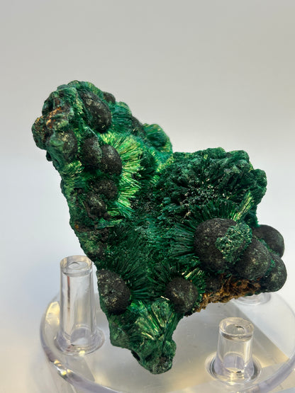 Malachite velvet qualità super