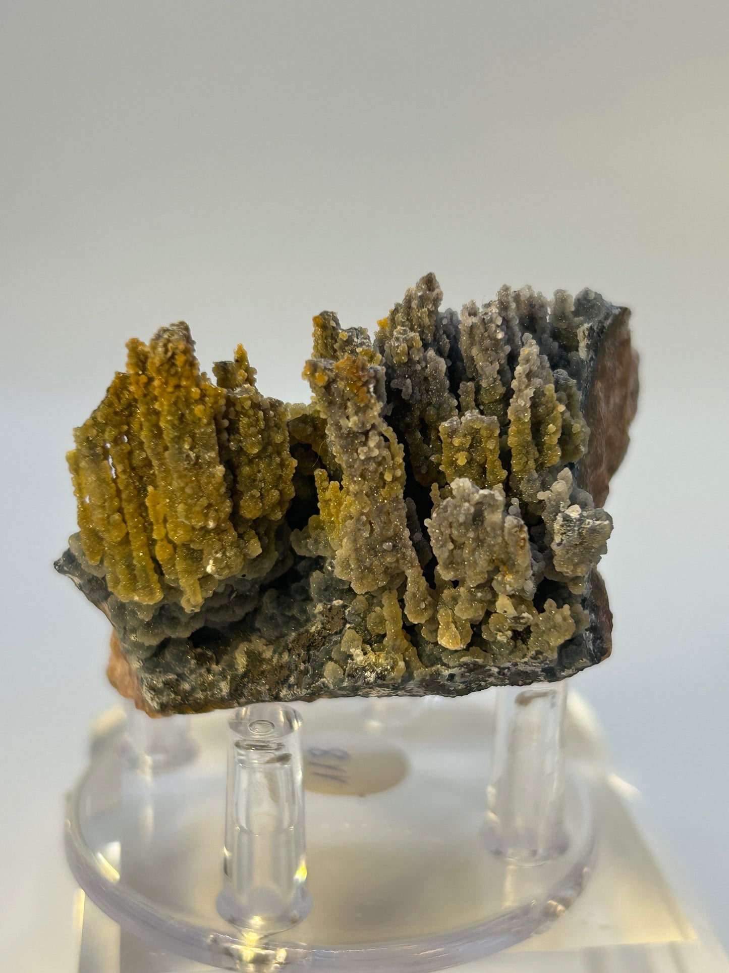 Magnesite e goethite stalattitica