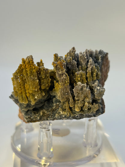 Magnesite e goethite stalattitica