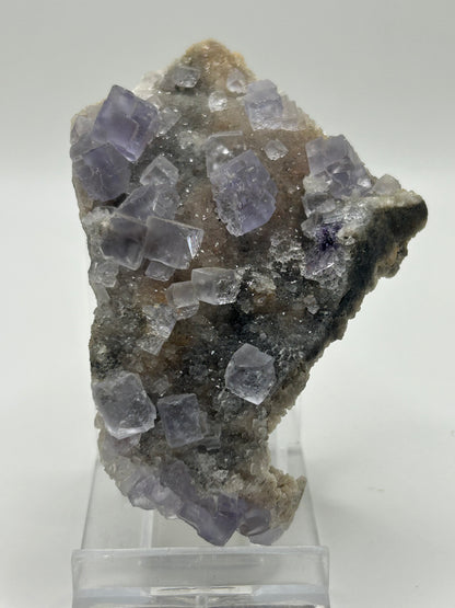 Fluorite cubica su calcedonio