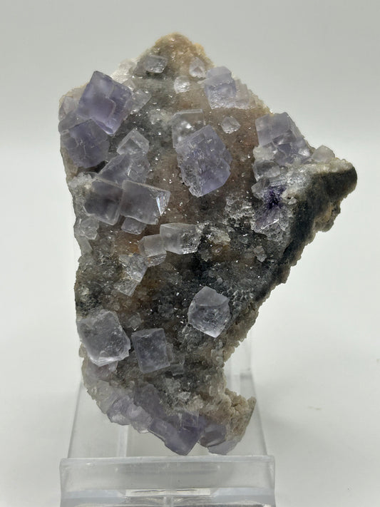 Fluorite cubica su calcedonio