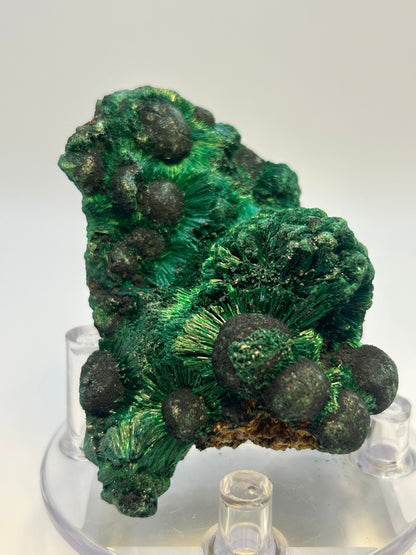 Malachite velvet qualità super